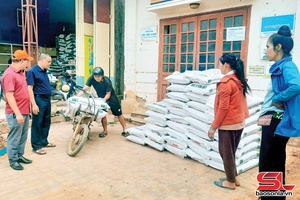 'Choi dừa chựa phăn, chương kìn tảnh liệng hảư chua hươn cặt.
