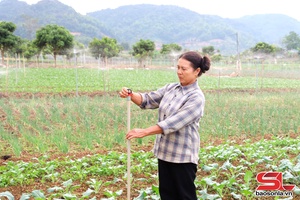 'Mường Bon chos 145 ha jâuz cxuô zav