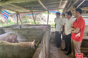 'Cxênhz hâux lưv zus buô nôngz hur sinh học
