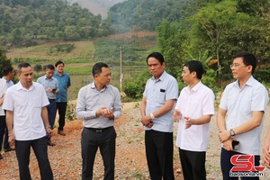 'Đồng chí Chủ tịch UBND tỉnh kiểm tra vịa chấp năm Đề án 666 nẳng huyện Thuận Châu