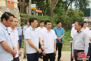 Provincial chairman inspects Project 666 implementation in Thuan Chau district