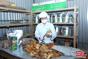 'Van Ho district boasts 78 active cooperatives