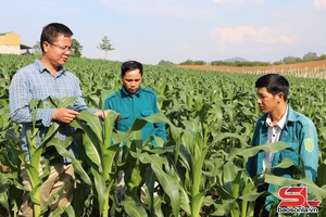 'Trung Hieu Organic Cooperative – bright spot in organic agricultural production