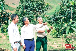 'Farmers supported to get production loans