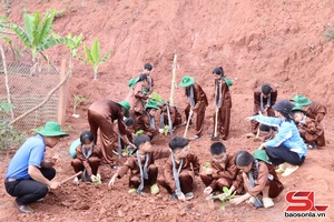 'Son La children learn to be farmers 
