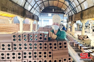 'Moc Chau brick factory creates stable jobs for local workers