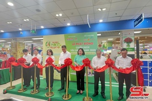 'Provincial leader attends launch of Green Consumption Campaign, Son La Plum Festival in HCM City