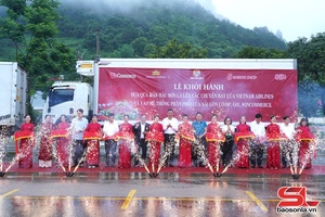  Mák mặn hảu Sơn La đảy àu khửn chuông hong pựa kìn nẳng xè bìn Vietnam Airlines cánh pưng bón khài chương SaigonCo.op, Go! cánh Wincommerce