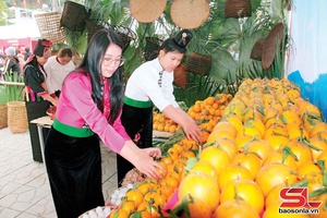'Nặm Ét thiaz Tân Lang huôv tsar ntông nox txir