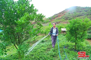 'Vân Hồ muôx 4.430 ha ntông nox txir