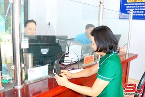 '100% of administrative procedure applications in Cheng En handled on time