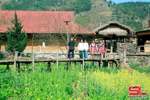 'Moc Chau township's Tan Yen commune welcomes 120,000 tourists