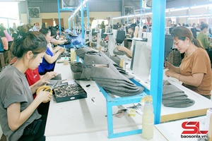'Employment opportunities introduced to rural workers