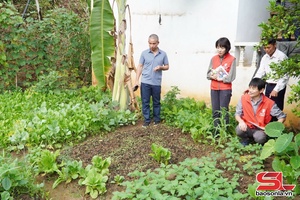 'Project improves livelihoods, nutrition of Son La ethnic minorities