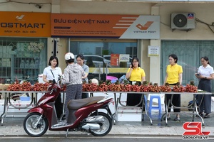 'Son La city Post Office helps sell 1.5 tonnes of Bac Giang lychee