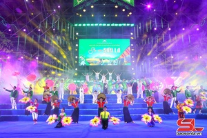 'Son La showcases cultural colours in Da Nang