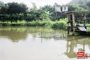 'Têx njêk đêx zus tâu yax 3.330 tấn