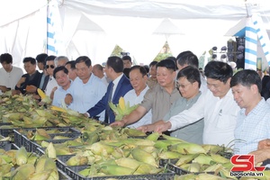 ' Àu khảu chuông hong chuông máy dệt phắc hòm mák nuối xáư hộp chỉa nẳng Sơn La