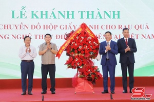 Paper-based packaging line for vegetables, fruits inaugurated in Son La