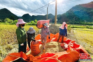 'Văn phạo kiếu nhăm àu khảu na xuần