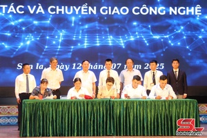 'Mự hội tánh tăm khong dượn chang cựt áo táo pùn 