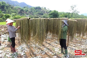 'Son La strengthens mobilisation of foreign non-governmental aid