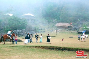 'Moc Chau cooperative hosts over 20,000 tourists