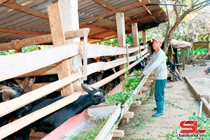 'Chiềng Mai moz siaz huôv tsar tu zus tsiax