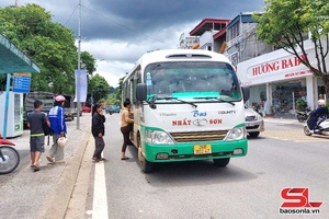 Revenue from transport activities surpasses 2 trillion VND 