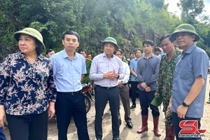 Provincial leader inspects landslide sites on National Highway 4G