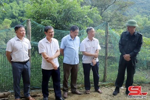 Provincial Vice Chairman inspects livestock disease prevention and control efforts