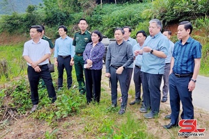 Provincial chairman surveys school construction sites in border communes