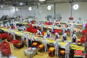 'Son La strengthens farm produce distribution efforts