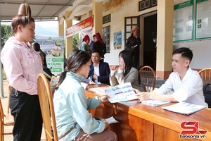 'Over 2,500 people receive career consulting, job introduction 