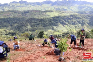 '“Leaf for Forest” campaign targets restoration of 100 hectares in Son La