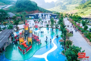 Xểm khùa nối diên choi dừa doanh nghiệp