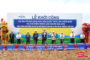 Jâus piz uô tsêr máy uô tơưv jâuz krâur zus tsiax thiaz jov kôngz lông Mavin Mai Sơn