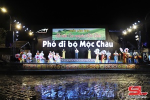 "Colours of the Moc Chau Plateau" photo exhibition opens