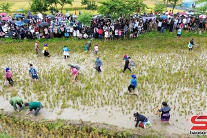 'Fish-catching contest enlivens New Rice Festival 2025