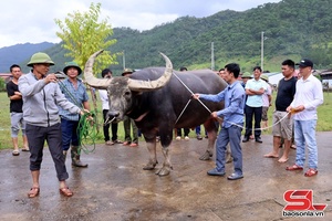 'Tưr “Fơư tưv jông gâux” ntơưv Ngọc Chiến