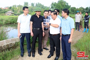 Provincial Party leader inspects preparations for school construction in border communes