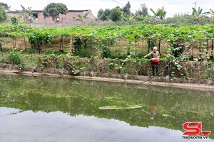 'Son La’s aquaculture output reaches 5,105 tonnes