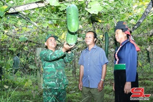 'Border guards maintain 18 economic development models to support local communities