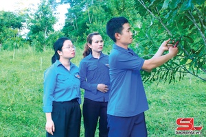 'Xủ lang đì tàng ngơn cốc té Ngân hàng 
