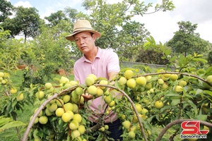 'Outstanding cooperative in agricultural production