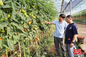 'Ngọc Chiến huôv tsar uô luôv, têx zav, nuôv zax