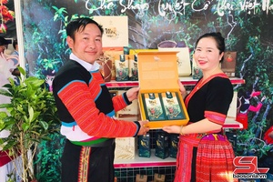 'Son La enhances brand protection for typical agricultural products