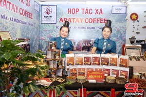  Pảy chự chư xiềng hảư chương hay xuần pộn dỏn