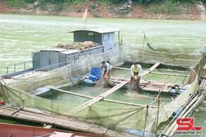 Xã Đoàn Kết mả pe nghê liệng pà 