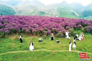 Van Ho welcomes over 20,000 tourists